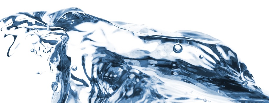 BRINKMANN PUMPS 塑膠泵浦與微型離心泵浦